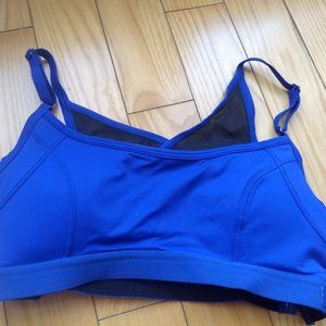 Blue Lole Sports Bra